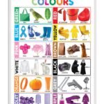 Colours
