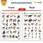 2 in 1 wild and farm animals & pets